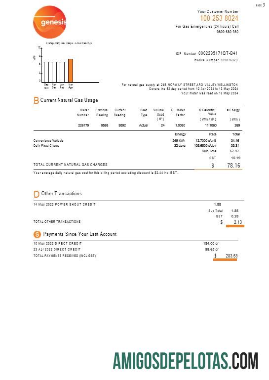 Projeto de lei de serviços públicos de gás Genesis da Nova Zelândia, 3 páginas amostra